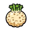 Celeriac