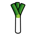 Leek